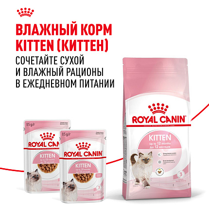 Сухой корм Royal Canin Kitten для котят до 12 месяцев 1.2 кг